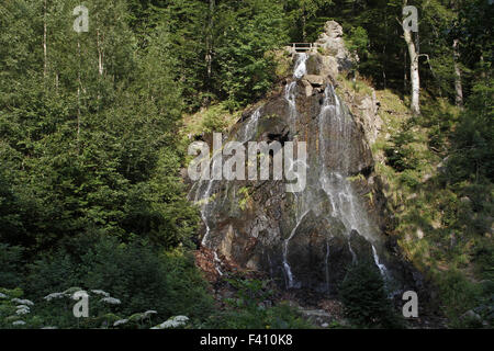 Radau-cascata Foto Stock