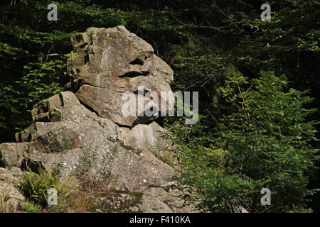 Roccia sopra la cascata Radau Foto Stock