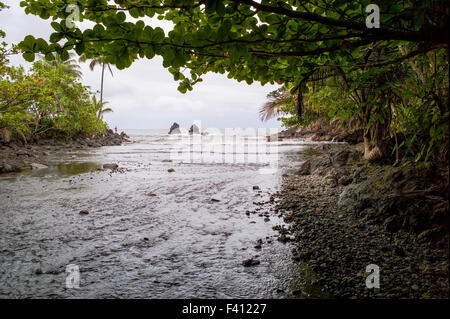 Fisherman, asino Trail, flusso Onomea si svuota nel Oceano Pacifico, Onomea Bay, Big Island delle Hawai'i, Hawaii, STATI UNITI D'AMERICA Foto Stock