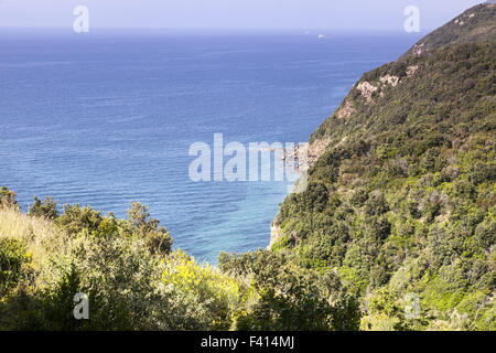 Costa mediterranea nei pressi di Bagnaia, Isola d'Elba Foto Stock