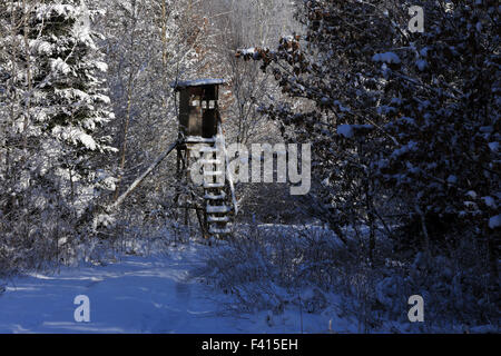 Supporto di cervo in inverno bavarese foresta Foto Stock