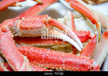 Re snow crab gambe pronto a mangiare closeup Foto Stock