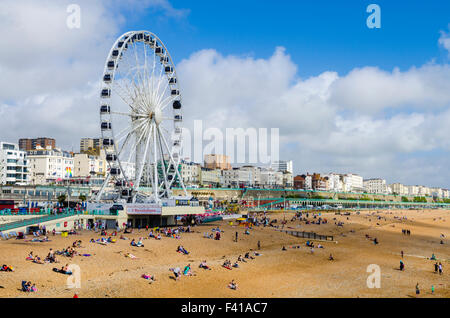 La spiaggia di Brighton e Brighton ruota in estate. East Sussex, Inghilterra. Foto Stock