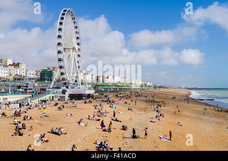 La spiaggia di Brighton e Brighton ruota in estate. East Sussex, Inghilterra. Foto Stock
