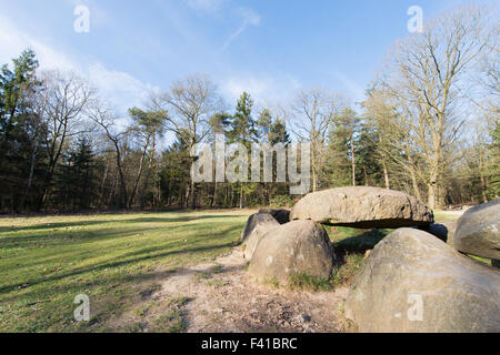 Hunebed nella provincia olandese Drenthe Foto Stock