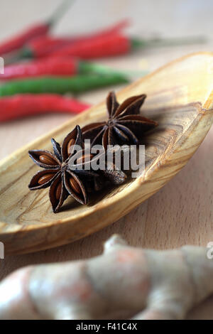 Spezie Anice stellato su un cucchiaio di legno Foto Stock