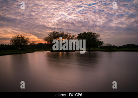 In autunno il tramonto e la riflessione a Janesmoor stagno nel New Forest Hampshire REGNO UNITO Foto Stock