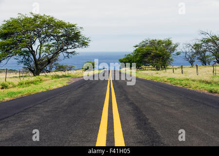 Motociclista a cavallo lungo la Costa di Kohala, Big Island delle Hawai'i, Hawai'i, STATI UNITI D'AMERICA Foto Stock