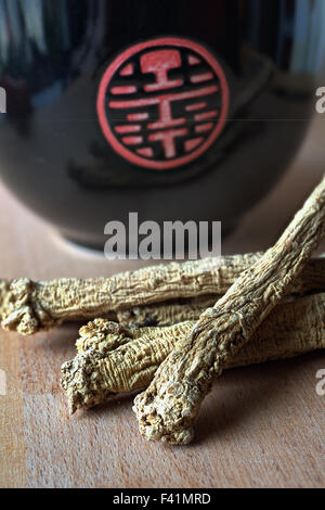 Uomo povero Ginseng, radici essiccate Foto Stock