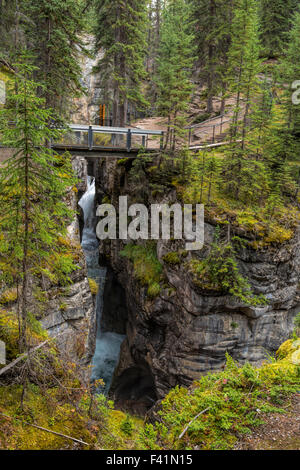 Vista nel Canyon Maligne e sul quarto ponte Jasper National Park, nelle montagne rocciose, Alberta, Canada. Foto Stock