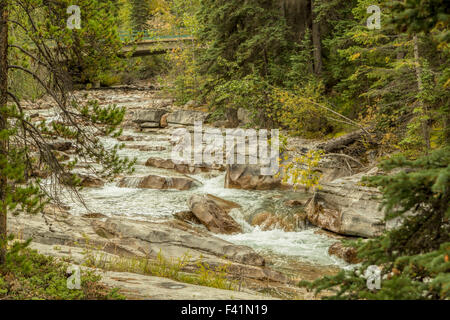 Vista sul Fiume Maligne e sulla passerella nel Parco Nazionale di Jasper, nelle montagne rocciose, Alberta, Canada, America del Nord. Foto Stock