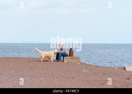 Uomo di accarezzare il suo labrador cane mentre seduto sulla spiaggia in Teignmouth, Devon, Inghilterra Foto Stock