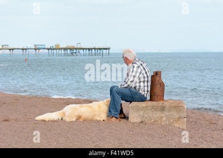 Uomo di accarezzare il suo labrador cane mentre seduto sulla spiaggia con Teignmouth pier in background, Devon, Inghilterra Foto Stock