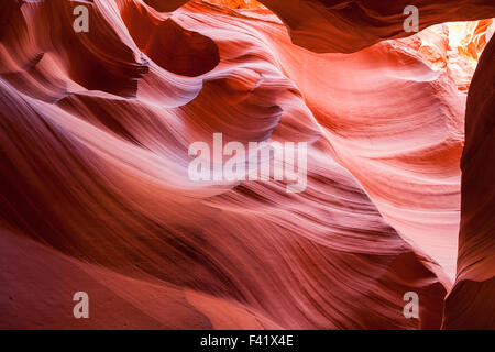 Usando acqua e vento, Madre natura ha scolpito belle funzioni astratte all'interno di variopinti canyon di arenaria in ameri Foto Stock