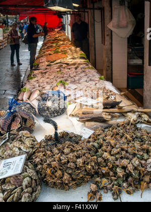 Pressione di stallo di pesce all'interno del mercato di Rialto di Venezia Foto Stock