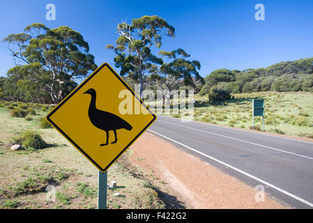 Cape sterile Goose cartello stradale Foto Stock