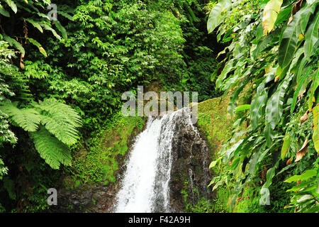 Sette sorelle la cascata nel Parco nazionale Grand Etang, St George, Grenada Foto Stock