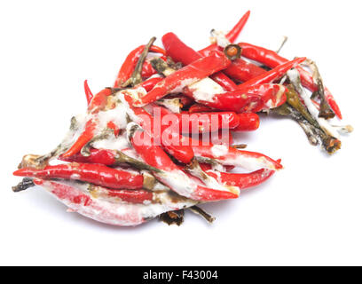 Il marcio peperoncino Foto Stock