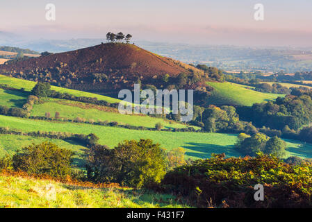 Colmers Hill, Bridport, Dorset, Regno Unito. Il 14 ottobre 2015. Regno Unito Meteo. Gloriosa Mattina autunnale vista dell'iconico Colmers Hill che ha trasformato un profondo rosso/marrone con il morente retro del bracken, vicino a Bridport in Dorset, Regno Unito visto dal Eype verso il basso. Credito Foto: Graham Hunt/Alamy Live News Foto Stock