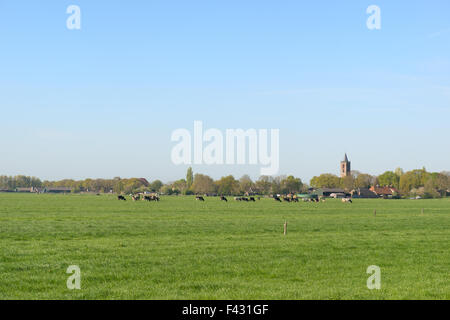 Tipico paesaggio olandese in Eempolder con village Eemnes all orizzonte Foto Stock