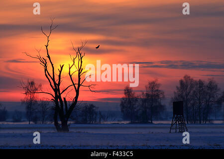 Bavarese paesaggio invernale al tramonto Foto Stock