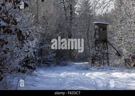 Supporto di cervo in inverno bavarese foresta Foto Stock