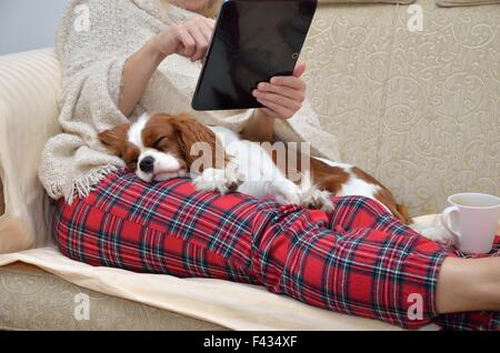 La donna in casa accogliente rilassante di usura sul divano con un sonno cavalier cane sul suo giro, tenendo compressa e la lettura Foto Stock