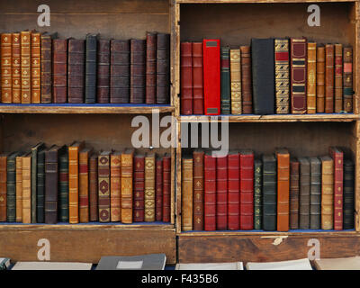 Vintage libri nella vecchia libreria