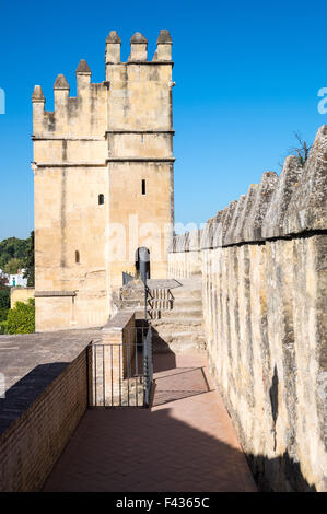 Spagna, Cordoba, le torri di Alcazar dei Re Cristiani Foto Stock