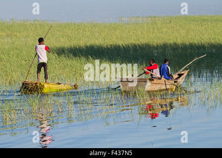 Africa, Etiopia, bambini pesci di fiume Foto Stock