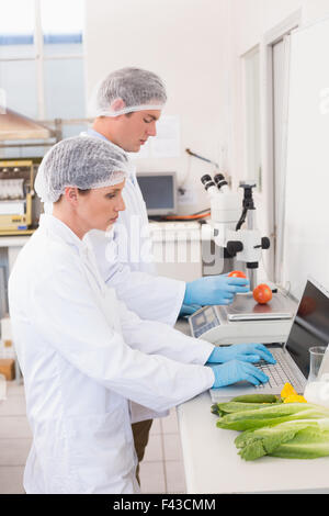 Gli scienziati che lavorano con attenzione con verdure Foto Stock