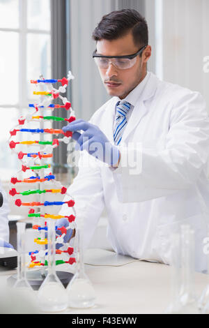 Scienziato analizzando elica di DNA Foto Stock