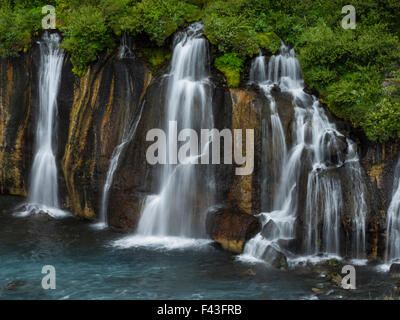 Cascate Hraunfossar, a cascata una serie di torrenti che fluisce da campi di lava su una roccia a strapiombo sul fiume Hvita. Foto Stock