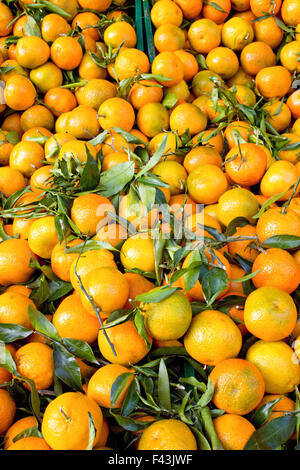 Uno sfondo di clementine fresche con foglie verdi su un mercato Foto Stock