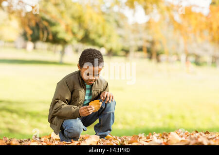 Little Boy prelevare alcune foglie Foto Stock