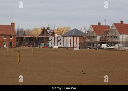 Nuovo alloggiamento, nuove case. Lo sviluppo su un sito vergine. Stalham. Norfolk. East Anglia. In Inghilterra. Regno Unito. 2015 Foto Stock