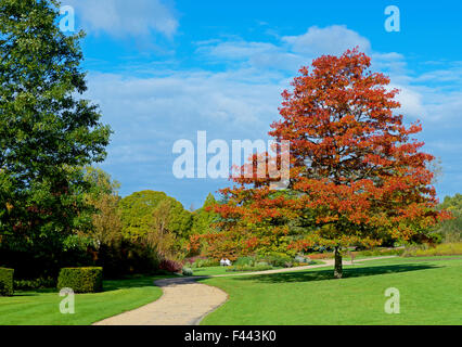 Harlow Carr, Royal Horticultural Society's gardens vicino a Harrogate, North Yorkshire, Inghilterra, Regno Unito Foto Stock