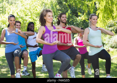 Gruppo Fitness facendo tai chi nel parco Foto Stock