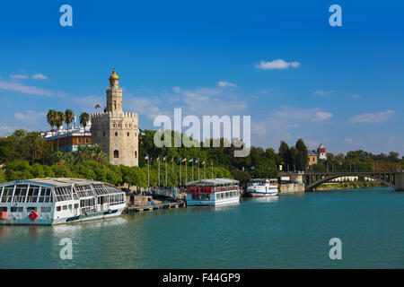 Torre del Oro a Siviglia Spagna Foto Stock