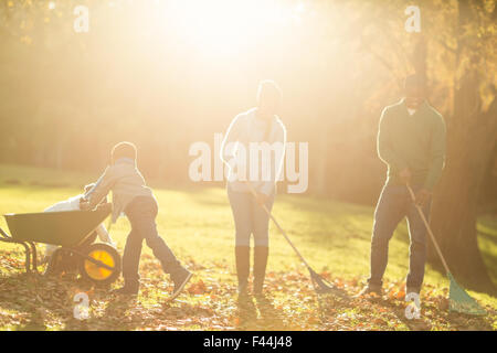 Famiglia giovane raccogliere le foglie Foto Stock