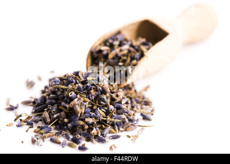 Erbe lavanda Bud Fiore Heap di tè superficie di pelo vista dall'alto isolato su sfondo bianco Foto Stock