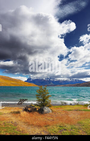 Il gale sul Lago Laguna Azul Foto Stock