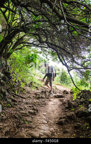 Gli escursionisti sul sentiero al punto Akoakoa, Polulu Valley, Big Island delle Hawai'i, Hawai'i, STATI UNITI D'AMERICA Foto Stock