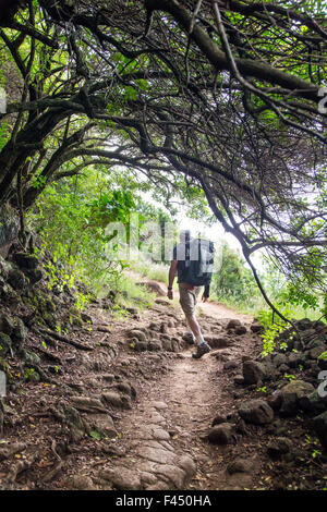 Gli escursionisti sul sentiero al punto Akoakoa, Polulu Valley, Big Island delle Hawai'i, Hawai'i, STATI UNITI D'AMERICA Foto Stock