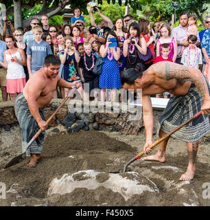 I turisti a Lau guarda i nativi di preparare un intero di maiale cucinato in una fossa riempita con hot rocks, Big Island delle Hawai'i; Hawai'i; USA Foto Stock