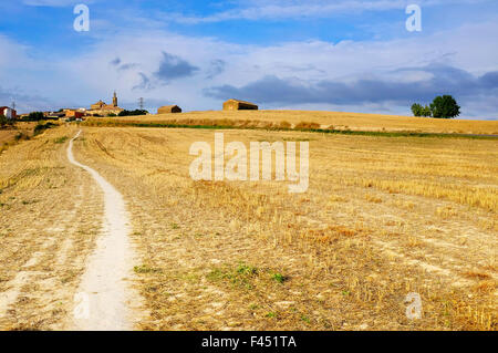 Via nel mezzo di alcune raccolte di campi di grano andando a Sansol sul cammino di san Giacomo (Camino de Santiago) Navarra, Spagna Foto Stock