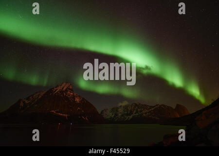 Luci del nord, la Reine, Lofoten, Norvegia Foto Stock