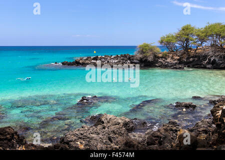 I turisti nuotare e fare snorkeling al Hapuna Beach, Kohala Coast, Hawai'i, STATI UNITI D'AMERICA Foto Stock