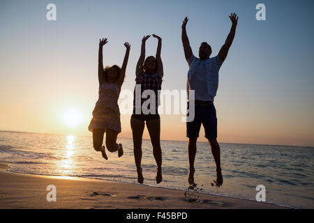 Gruppo di amici divertendosi Foto Stock