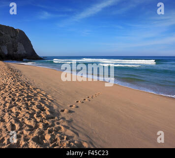 Early sun sulla spiaggia sabbiosa Foto Stock